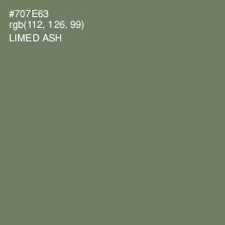 #707E63 - Limed Ash Color Image